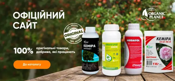 Органічні чи мінеральні: як вибрати добрива для городу