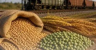 Китай відчинив двері для українського гороху та ячменю