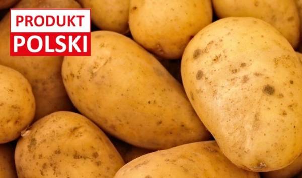 Польща готується до різкого зниження врожаю фруктів та овочів