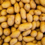 Спека загрожує скоротити врожай картоплі на Волині на 40%