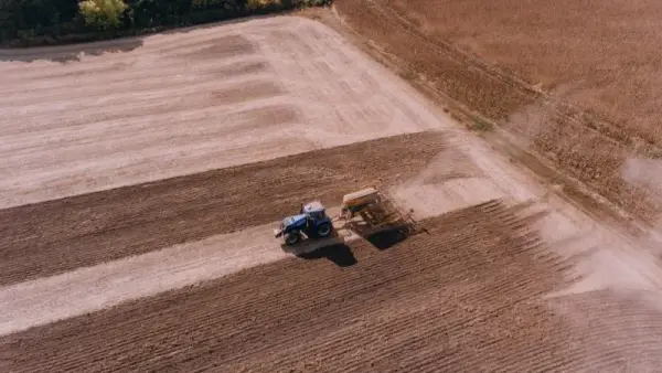 Українські аграрії скорочують посіви: причини та загрози для врожаю