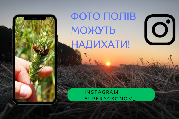 Агроном Шпітун: адаптивне землеробство підвищує урожайність та прибутковість