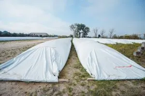 Українські аграрії отримають 10 тисяч рукавів для збору врожаю