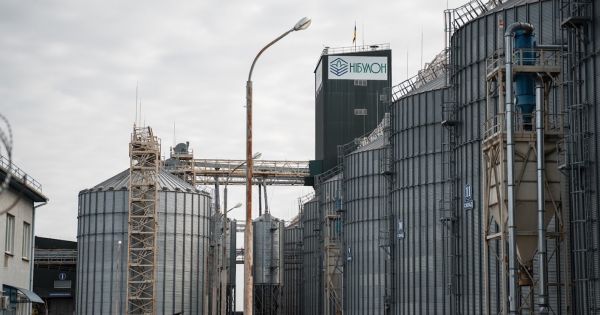 Дунайський експорт зерна не працює на повну потужність: оцінка Володимира Славінського