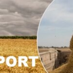 Молдова планує продовжити обмеження на імпорт зерна