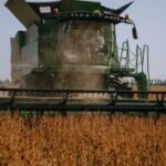 Українські аграрії зібрали перший урожай соняшнику та сої