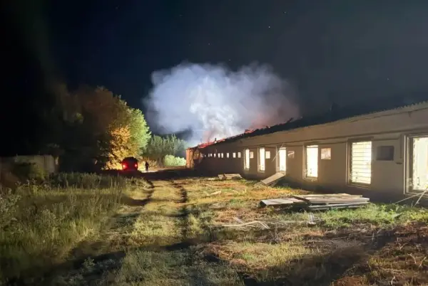 Обстріл знищив 20 тисяч бройлерів на птахофабриці