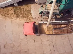 Експорт російської пшениці: ціни падають, ринки реагують