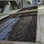 Туреччина зупинила імпорт соняшнику