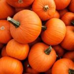Британські фермери очікують удвічі менший урожай гарбузів до Хелловіну