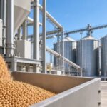 Українські млини потребують модернізації: виклики та шляхи вирішення