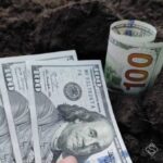 Аудит польових робіт: як заощадити кошти в агробізнесі