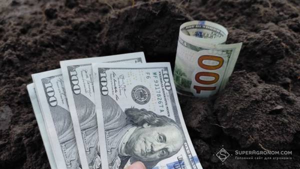 Аудит польових робіт: як заощадити кошти в агробізнесі