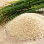 Google і Mitti Labs впроваджують водозберігальне вирощування рису в Індії