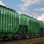 Зернові перевезення залізницею: експортний вектор