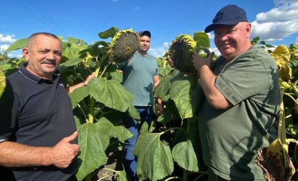 Дружба Миколаївка” перемагає нестабільність сезону: як зберегти врожайність