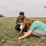Кернел запустив вуглецеві сертифікати за стандартами VCS