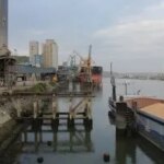 Латвія посилює тарифи на транзит зерна, спрямовуючи кошти на підтримку…