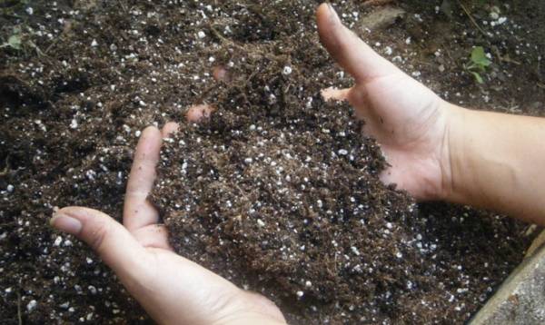 Данія запровадила закон, що обмежує азотні викиди в агросекторі