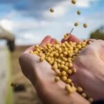 Кабмін розширив строки розрахунків для експортерів агропродукції до 180 днів