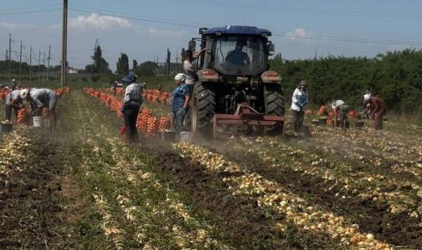Українські аграрії інвестують у роботизовані ферми через дефіцит кадрів