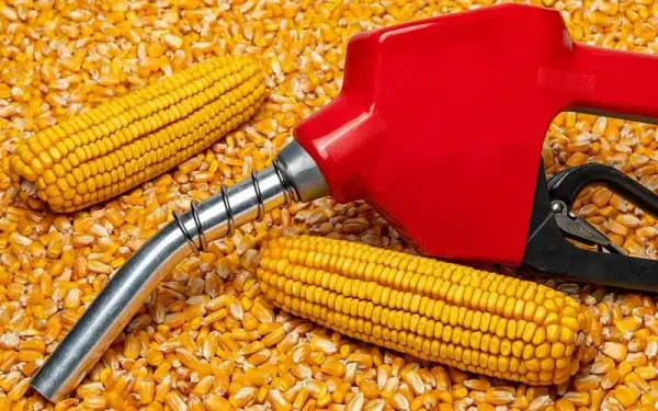 Зерно як біопаливо: аграрії отримують нові ринки збуту