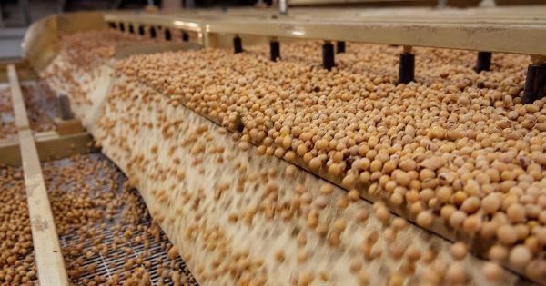 Агробізнес шукає додану вартість: фокус на переробці молока