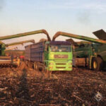 Tekom Agro Group зібрала 2,5 тонни соняшника з гектара на…