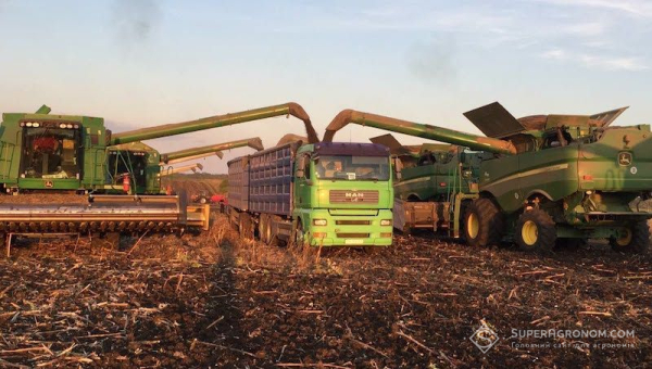 Tekom Agro Group зібрала 2,5 тонни соняшника з гектара на півночі Одещини