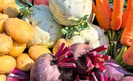 Юлія Ворощук: історії успіху стимулюють продажі агропродукції