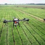 Дрони-обприскувачі: найкращі практики позакореневого внесення фунгіцидів