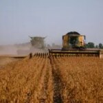 ЄС скорочує аграрні субсидії для українських виробників