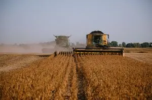 ЄС скорочує аграрні субсидії для українських виробників