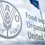ФАО допомагає Україні цифровізувати рибне господарство