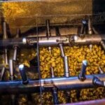 Українські цукрові заводи інвестують мільйони в модернізацію відповідно до стандартів…