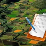 Приватизація землі під час війни: як скористатися законними можливостями