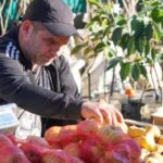 В Ужгороді відновили осінній ярмарок після семирічної перерви