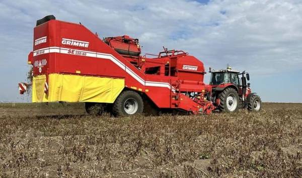 Картопля на Львівщині: урожайність впала майже на чверть