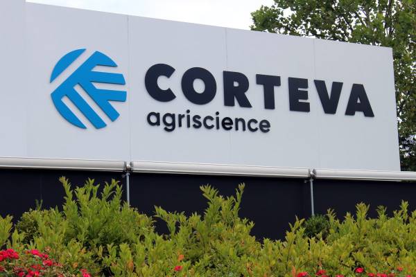 Corteva виділила насіннєвий бізнес, зосередившись на засобах захисту рослин