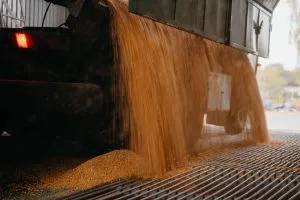 Аграрії отримають доступ до держгарантій за новими умовами кредитування